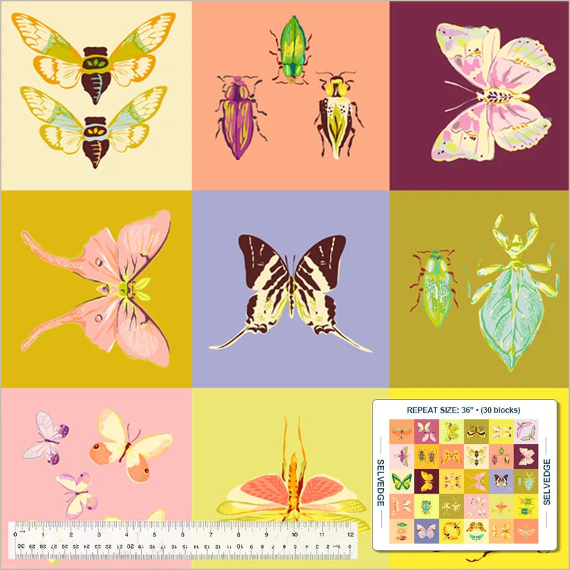 Insectarium - Square Dance Panel