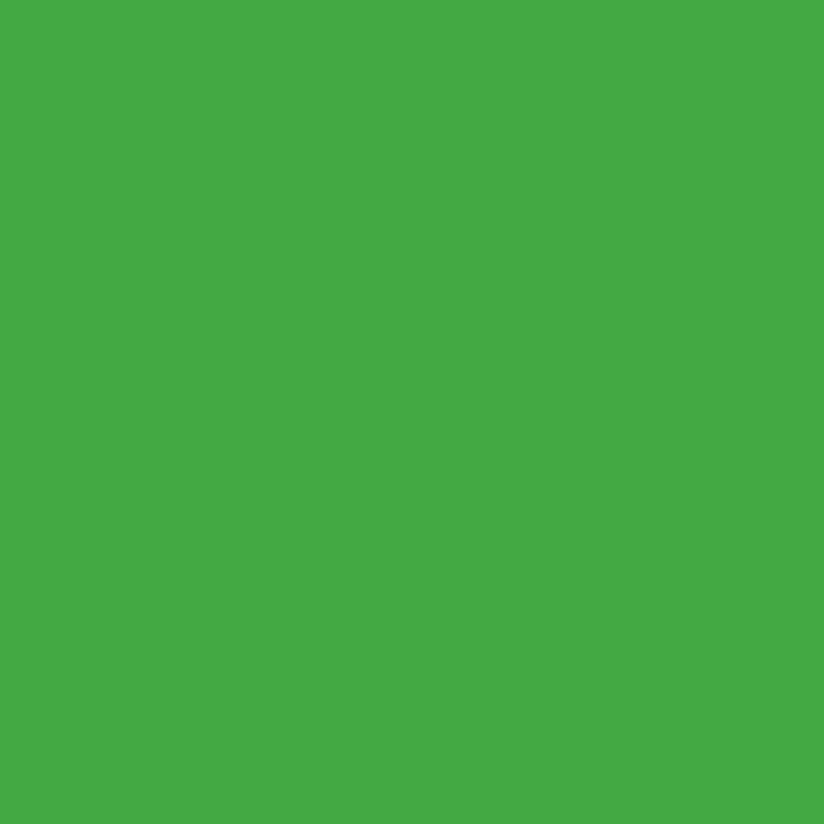 NOVEMBER RELEASE - Ruby Star Society Solids - Verdant
