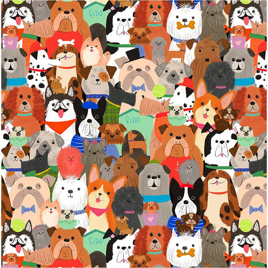 PACKED DOGS - MULTI