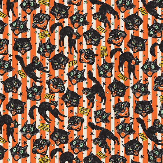 WICKED CATS - ORANGE