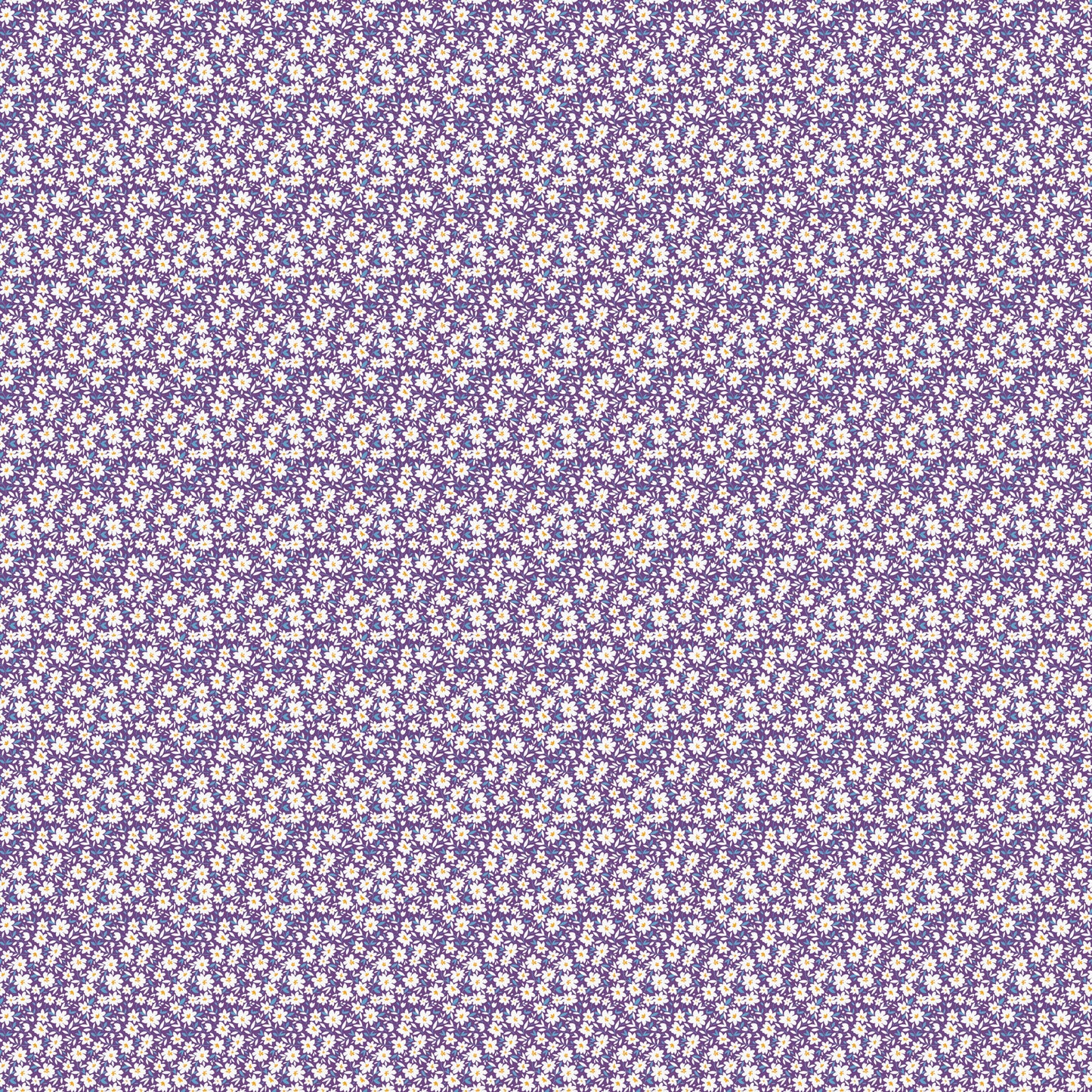 POCKET POSIES - DAISIES - PURPLE