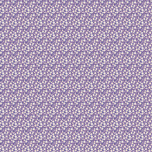 POCKET POSIES - DAISIES - PURPLE