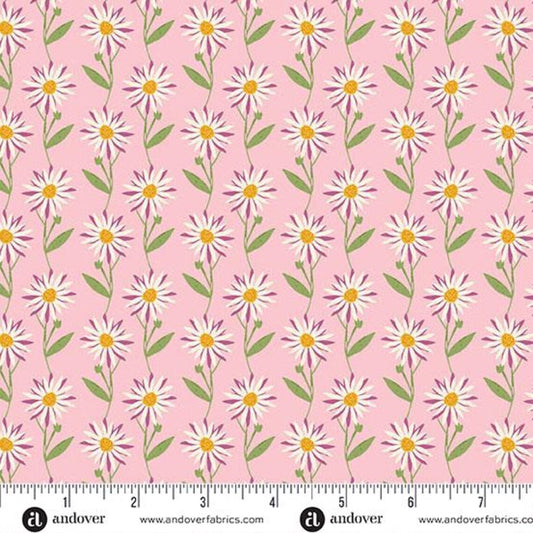 FLOURISH - GRANDMA'S DAISY DREAM PINK BY ALEXANDRA BORDALLO