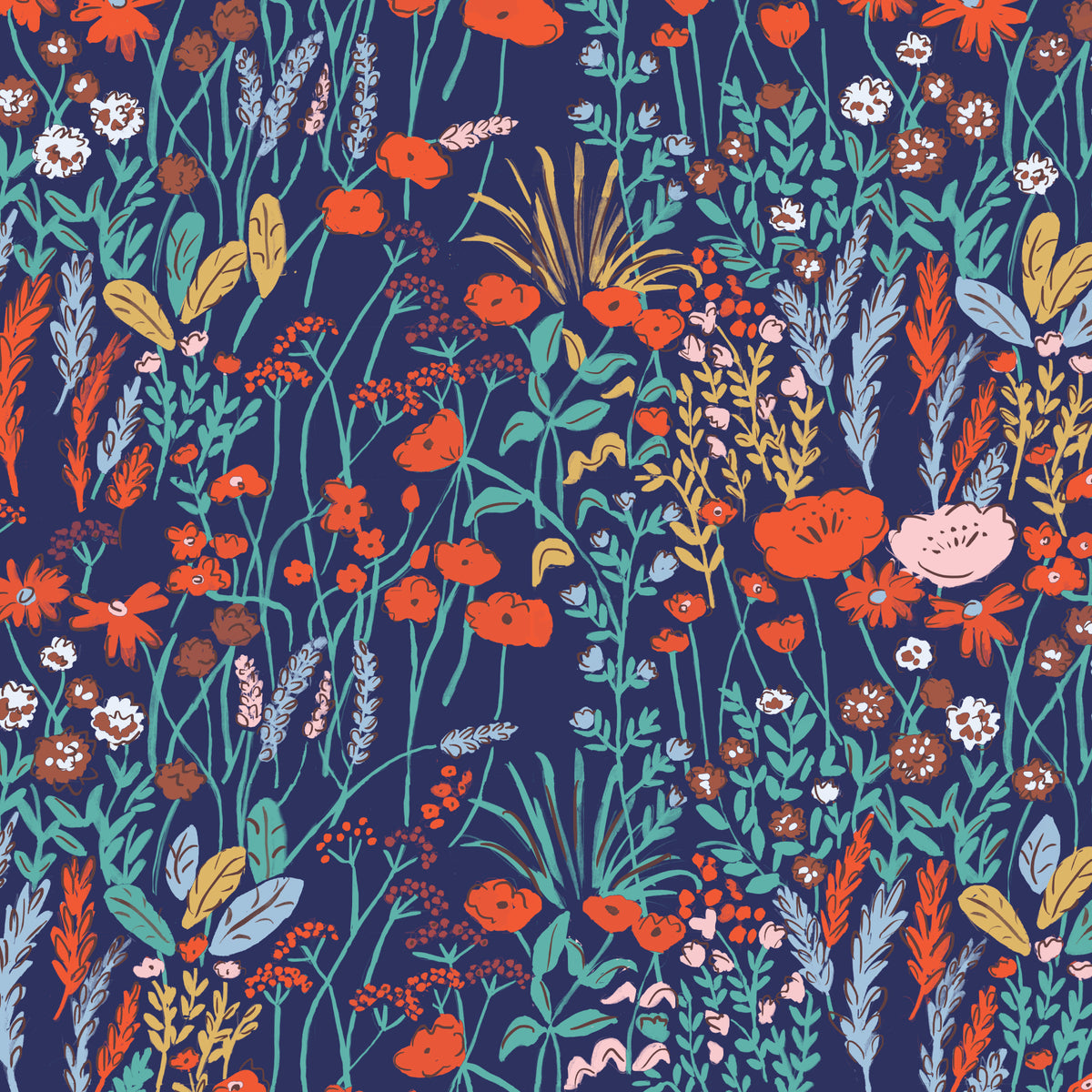 House Mouse - Meadow