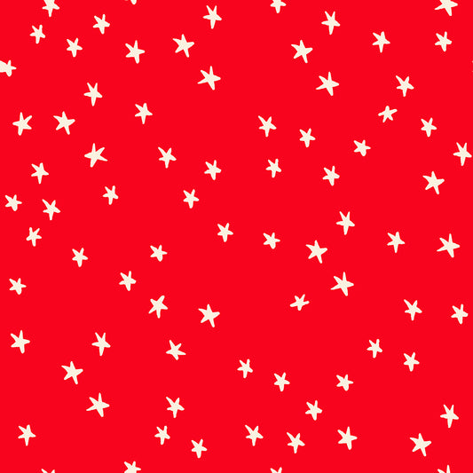 Ruby Star Society - Starry - Ladybug