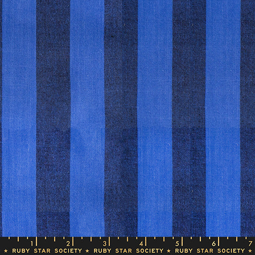 APRIL 2027 RELEASE  - RSS Warp Weft Daisy Days - Clothesline Strip Blue