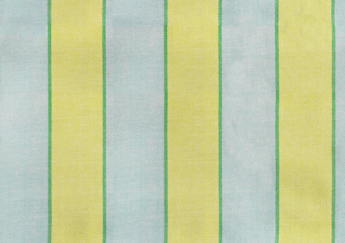APRIL 2027 RELEASE  - RSS Warp Weft Daisy Days - Sunny Day Pistachio
