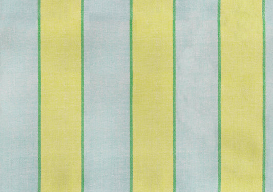 APRIL 2027 RELEASE  - RSS Warp Weft Daisy Days - Sunny Day Pistachio