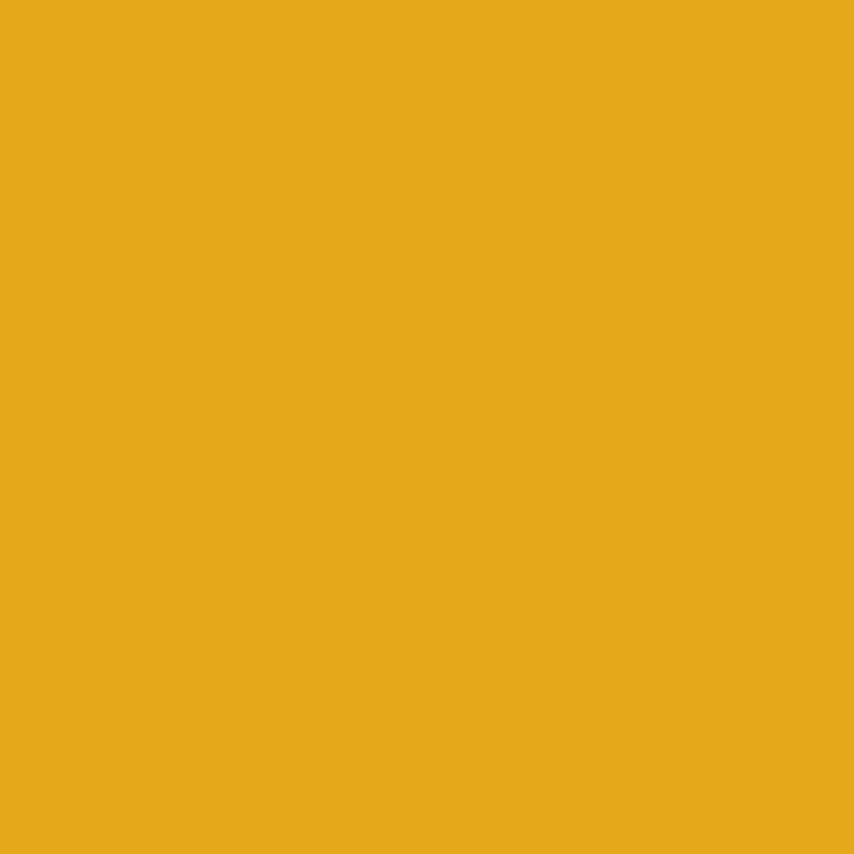 NOVEMBER RELEASE - Ruby Star Society Solids - Goldenrod