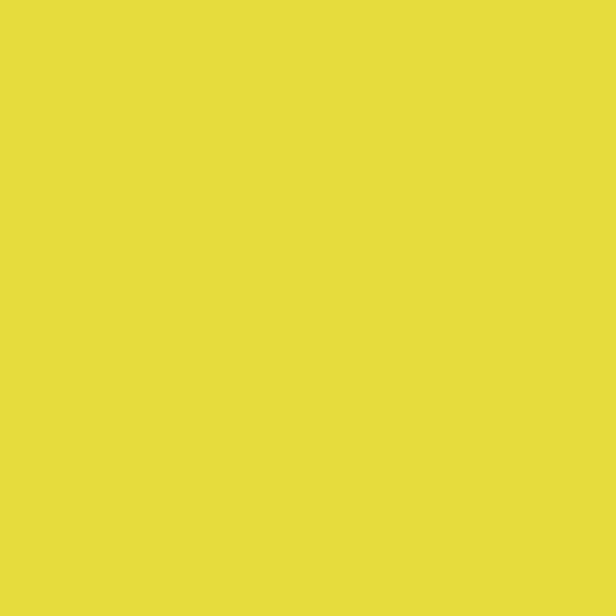 NOVEMBER RELEASE - Ruby Star Society Solids - Citron