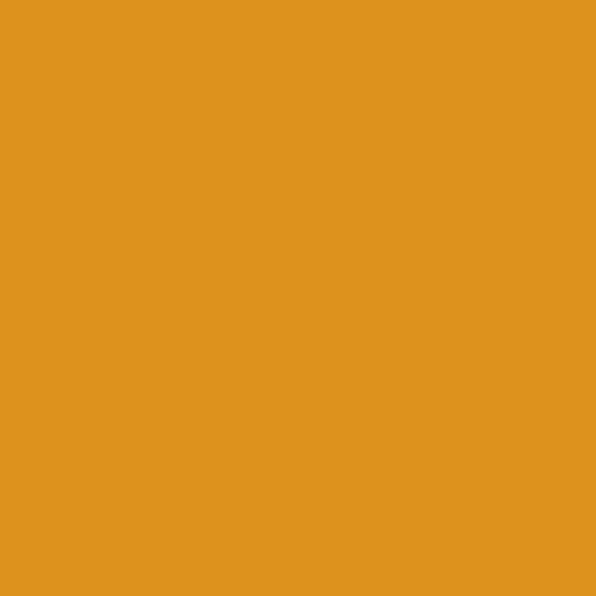 NOVEMBER RELEASE - Ruby Star Society Solids - Honey