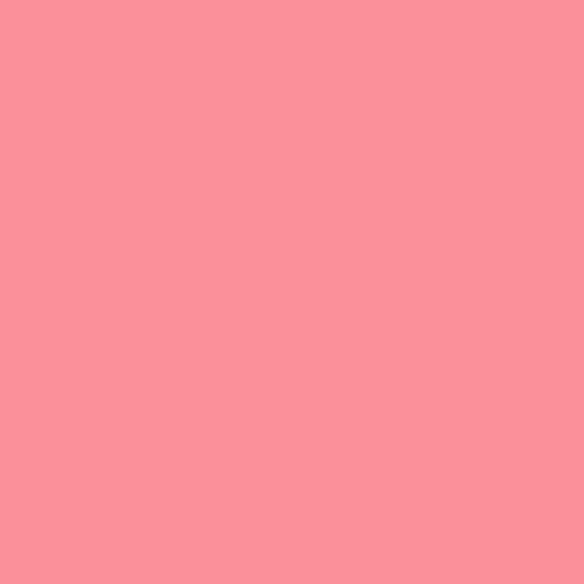NOVEMBER RELEASE - Ruby Star Society Solids - Sorbet
