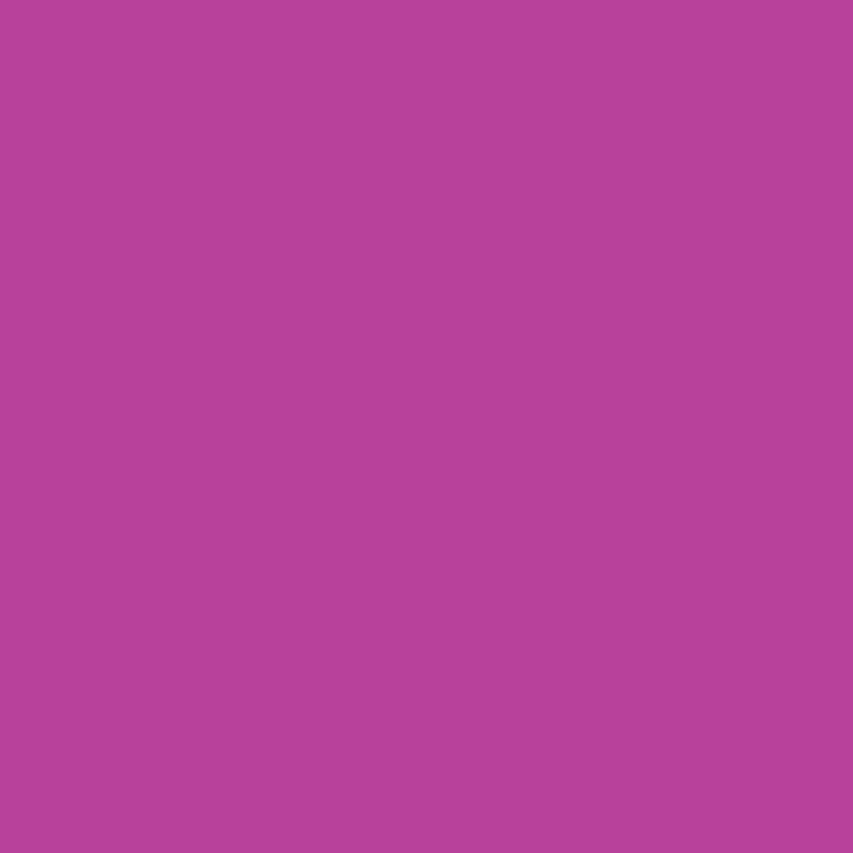 NOVEMBER RELEASE - Ruby Star Society Solids - Witchy