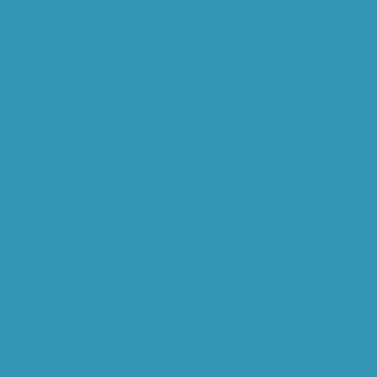 NOVEMBER RELEASE - Ruby Star Society Solids - Bright Blue